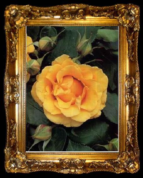 framed  unknow artist Still life floral, all kinds of reality flowers oil painting  107, ta009-2